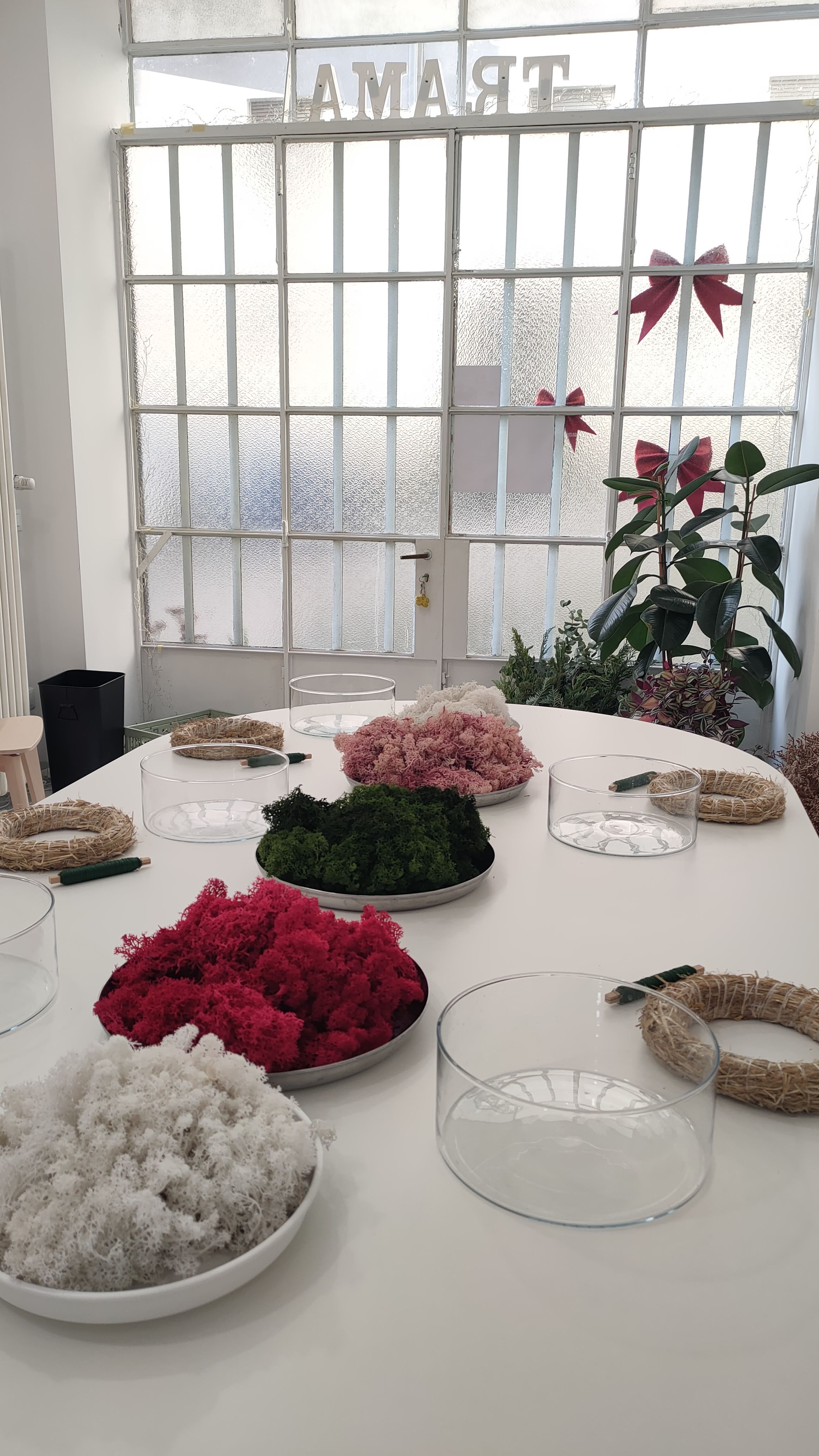 Crea una ghirlanda di muschio con Marta a Milano
