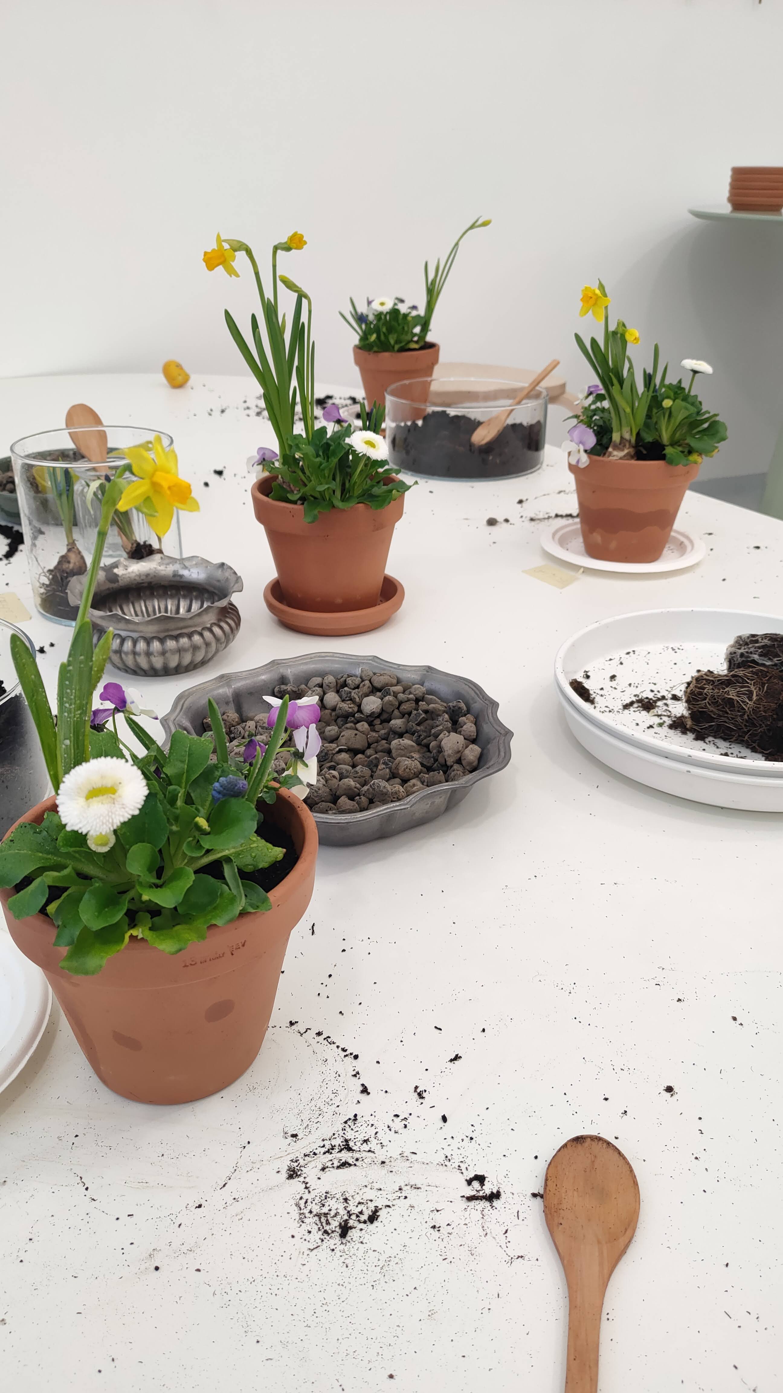 Diventa un piccolo giardiniere con Marta a Milano